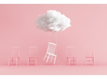 Kurumsal Sis Alanları: Bilgi Asimetrisi, Belirsizlik Davranışı ve Stratejik Sessizlik