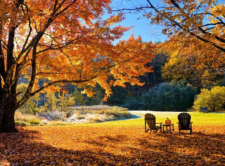 Balkon Stratejileri: Geri Çekilmenin Yaratıcılıkla İlişkisi