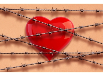 Profesyonellik, Duygusuzluk mudur? Duygunu Bırak, Gel: İşyerinde Bastırılmışlık Protokolleri