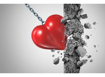 Profesyonel Romantizm