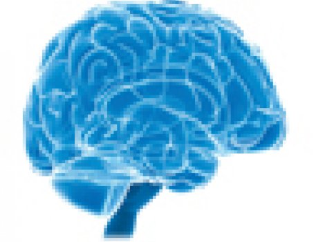 Neuro Bağlılık Endeksi 2012